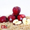 果众 美国特级红蛇果20个约4.2kg 苹果 进口水果新鲜