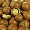 【大唐西域】欧尚中罐新疆特级夏威夷果360g新疆特产坚果