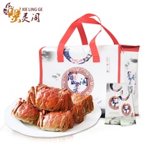 蟹灵阁阳澄湖大闸蟹 6只装