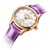 雷迈表（REIMAH）手表 皮带石英腕表时尚潮流紫色女表(紫色 皮革)第2张高清大图