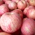 红富士苹果陕西特产2粒优质大果/5斤超值装/10斤特惠装 偏远地区不包邮(2粒优质大果)第3张高清大图