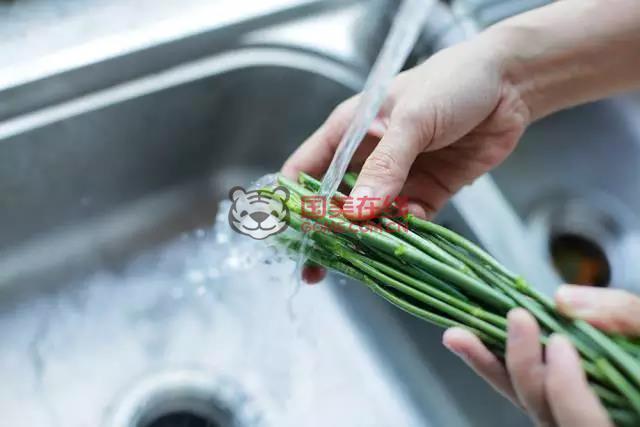 鲜花养护办法
