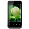 斐讯（PHICOMM）FWS810 WCDMA手机（蓝色）