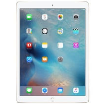 Apple iPad Air2 MH0W2CH/A 