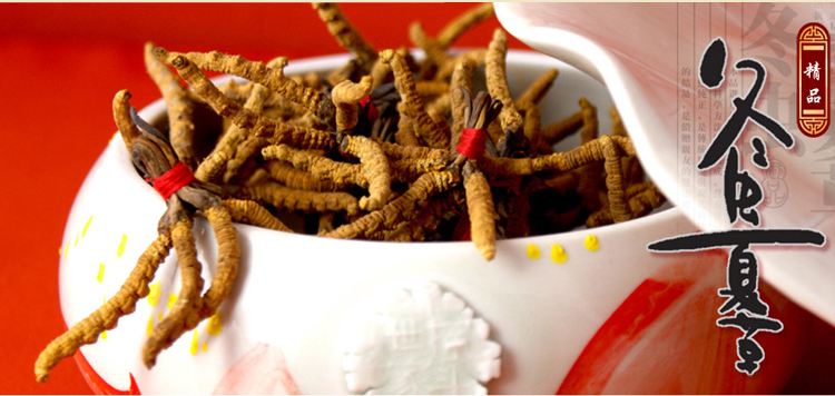 【国产骏华天宝防癌抗癌参茸礼品】骏华天宝 青海玉树冬虫夏草 虫草