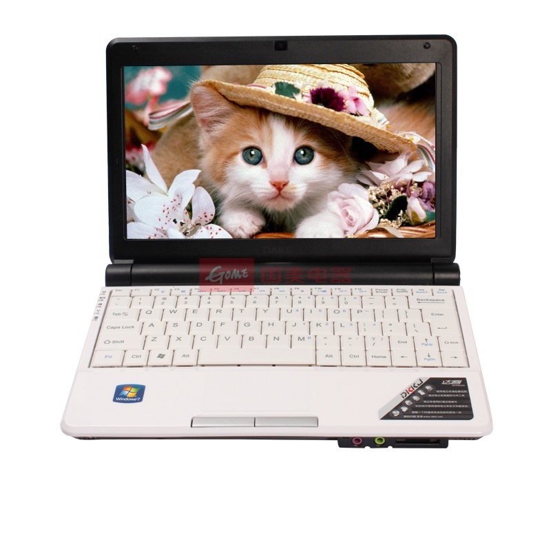 达客f101f双核笔记本电脑10寸上网游戏本 4g/500g(白色)