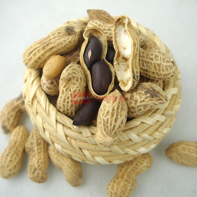 老宝氐黑花生 208g 零添加炒制 宝坻特产