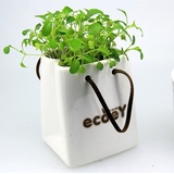 生态E园 迷你绿植 手袋造型 桌面创意植栽 防辐射绿色植物摆件 办公室观赏盆栽